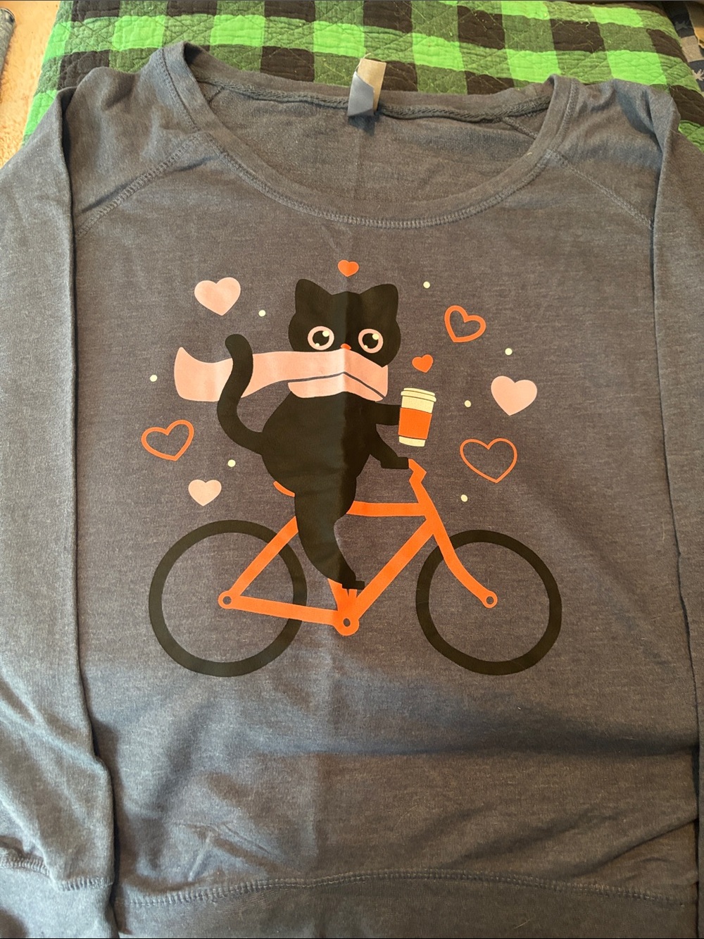 Gray Cat Bicycle Graphic Sweatshirt with Pink Accents